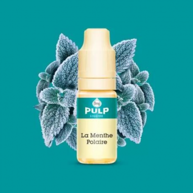 E-LIQUIDE POLAR MINT PULP 10ml