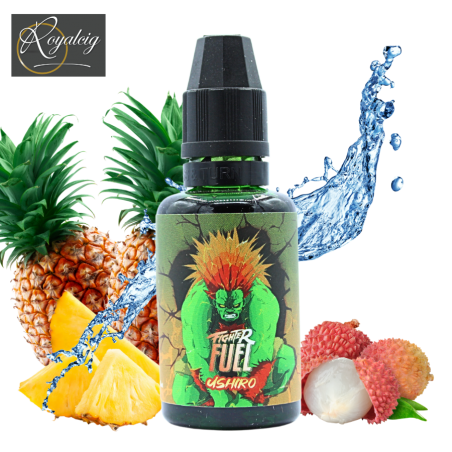 Concentrato di carburante Ushiro Fighter