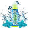 Icee Mint Fruizee 50 ml – Menthe glaciale | RoyalCig