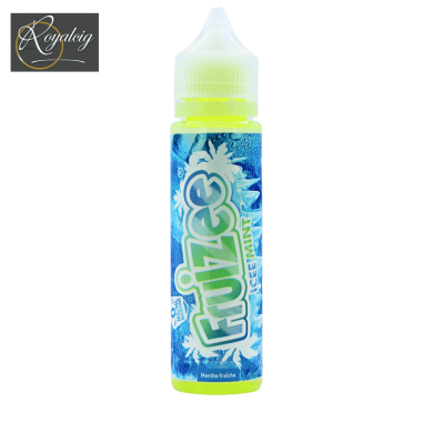 Fruizee Icee Mint e-Liquid Flasche