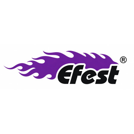 Logo Efest